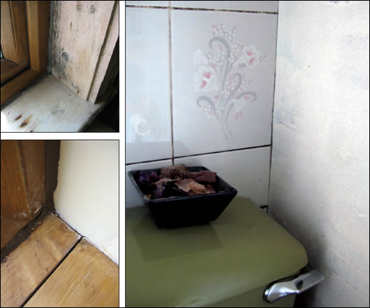 (left) filler pieces of timber sloppily fitted by a glazer when the house had new windows installed; (right)mould in the grouting between tiles in the bathroom;