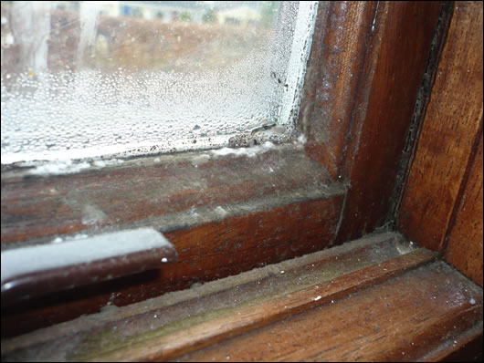 Shockingly bad mould growth in the en suite window of a recently built house in Meath