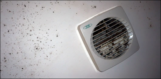 The poorly designed mechanical extract in the en suite loops up from the ceiling into the eaves and comes out through the fascia, with inadequate ventilation leading to a mould-covered ceiling The poorly designed mechanical extract in the en suite loops up from the ceiling into the eaves and comes out through the fascia, with inadequate ventilation leading to a mould-covered ceiling