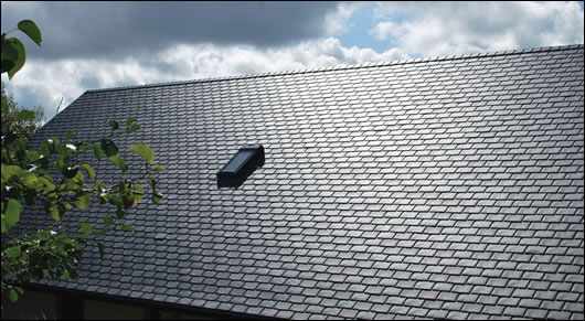 Tthe roof was finished with Athy Ecoslate, which is produced in Kildare from recycled polypropylene imported from the UK