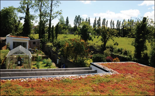  sedum room on the extension creates a strong visual connection to the garden from the rooms upstairs