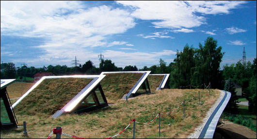 The undulating green roof (above and below), which eventually rolls down to converge with the fields below