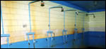 0203chernobyltitle.jpg 0203chernobyltitle.jpg