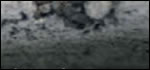 0208caveattitle.jpg 0208caveattitle.jpg