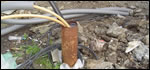 0304-renewablesinresidencetitle.jpg 0304-renewablesinresidencetitle.jpg