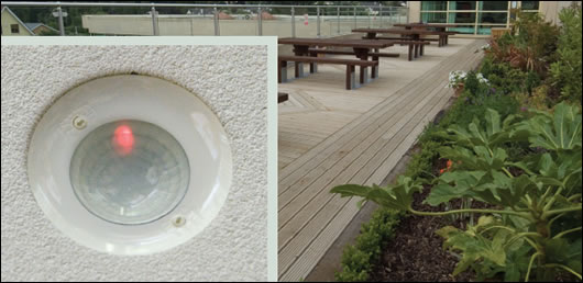 About Face A roofgarden on top of the original 1977 section of the building makes use of limited space