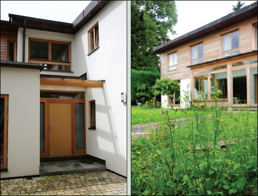 (below left) the north view of the house, the exposed glulam beam above the front door acknowledging the building’s timber anatomy; (below right) wild flowers in the garden reinforce the sense of leafy suburban setting (below left) the north view of the house, the exposed glulam beam above the front door acknowledging the building’s timber anatomy; (below right) wild flowers in the garden reinforce the sense of leafy suburban setting
