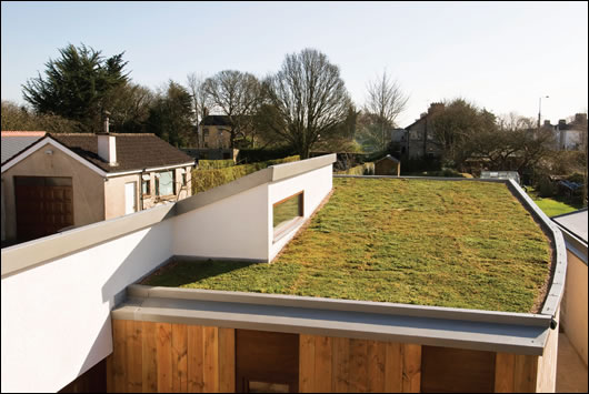 The sedum roof sits on the western side of the extension and is flanked on the eastern side by a pitched roof rising from east to west The sedum roof sits on the western side of the extension and is flanked on the eastern side by a pitched roof rising from east to west